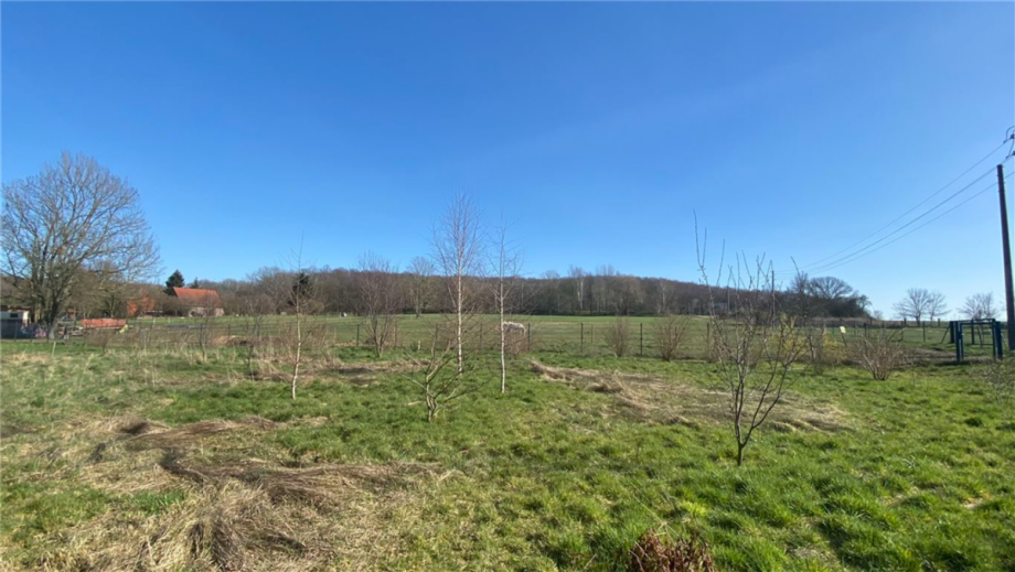 freier Blick in die Umgebung Villa Sommersdorf , B�rde