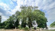 Immobilienfirma Magdeburg