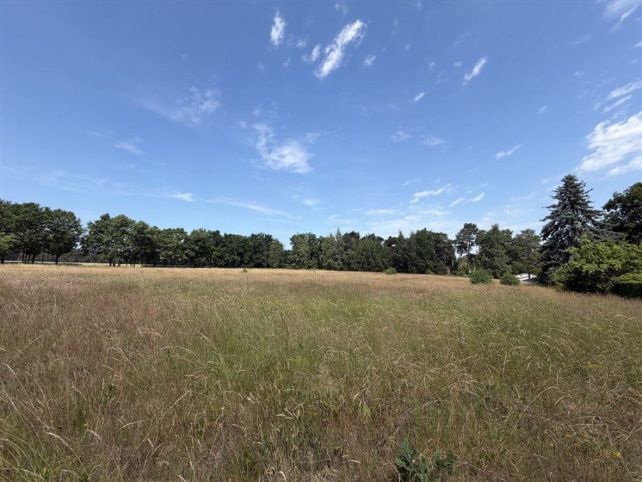 gro�zu�giges Grundstu�ck am Arendsee Grundst�ck Schrampe